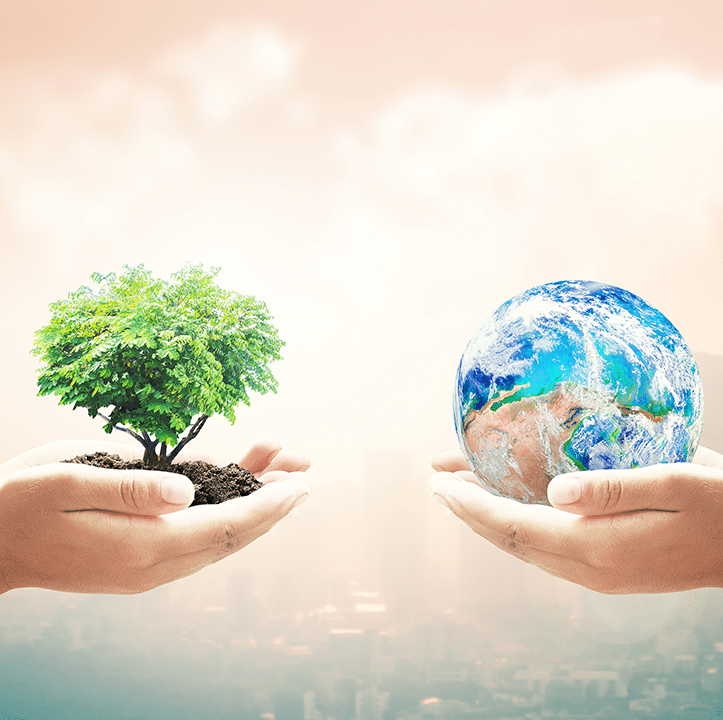 centred-Grow-your-investment-ethically Hands holding a small tree and a globe, symbolising ethical investment and environmental responsibility, aligned with Christian values and the mission of ACS Financial.