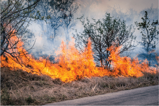 Bushfire burning through dry grass and brushwood, illustrating property insurance underwriting risk assessments.